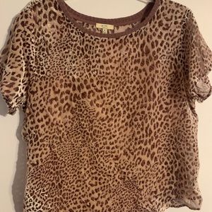 Sheer top